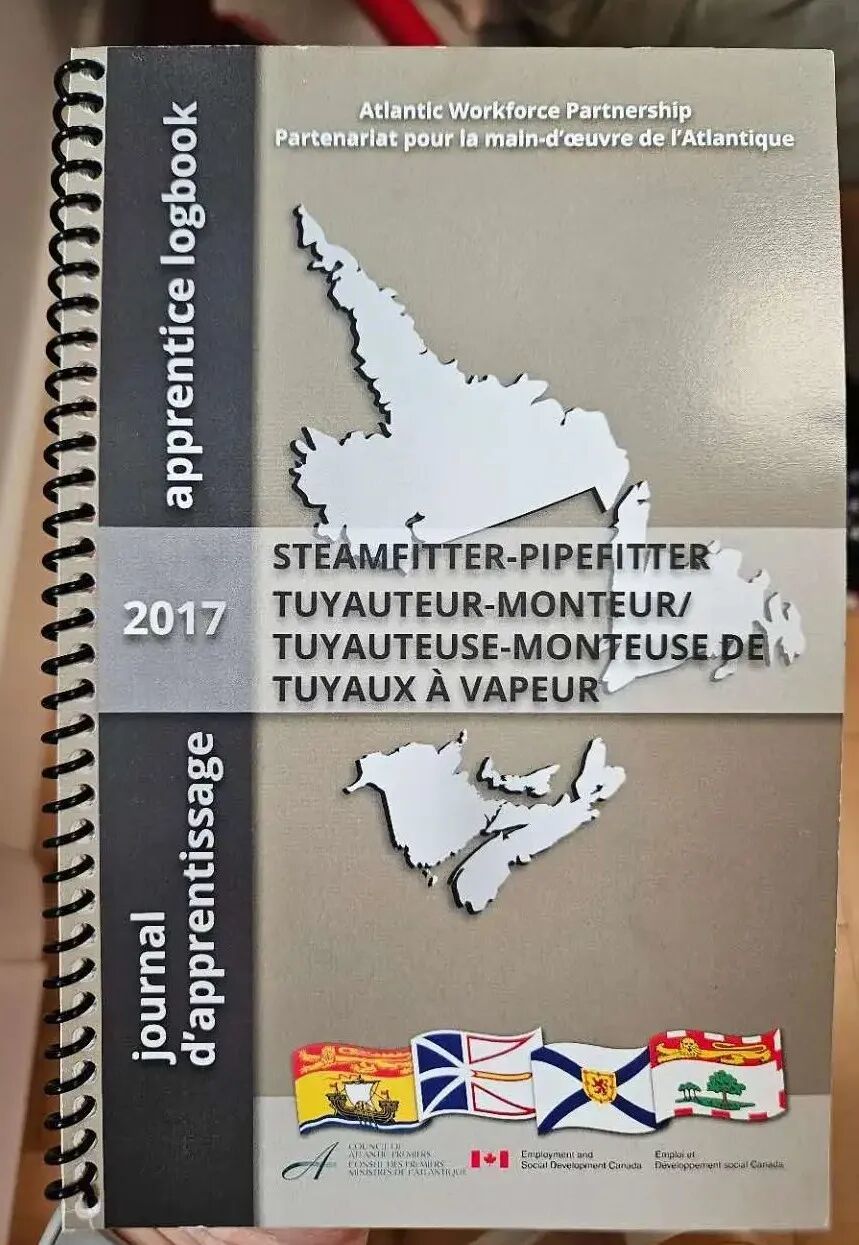 香港現金網：我在加拿大，做传说中最难被AI替代的“水管工”（上）